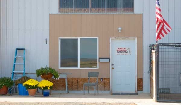 Kimi's Kennels Office