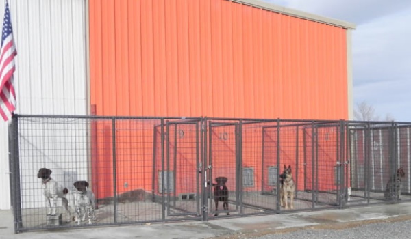 Kimi's Kennels Outside Pens